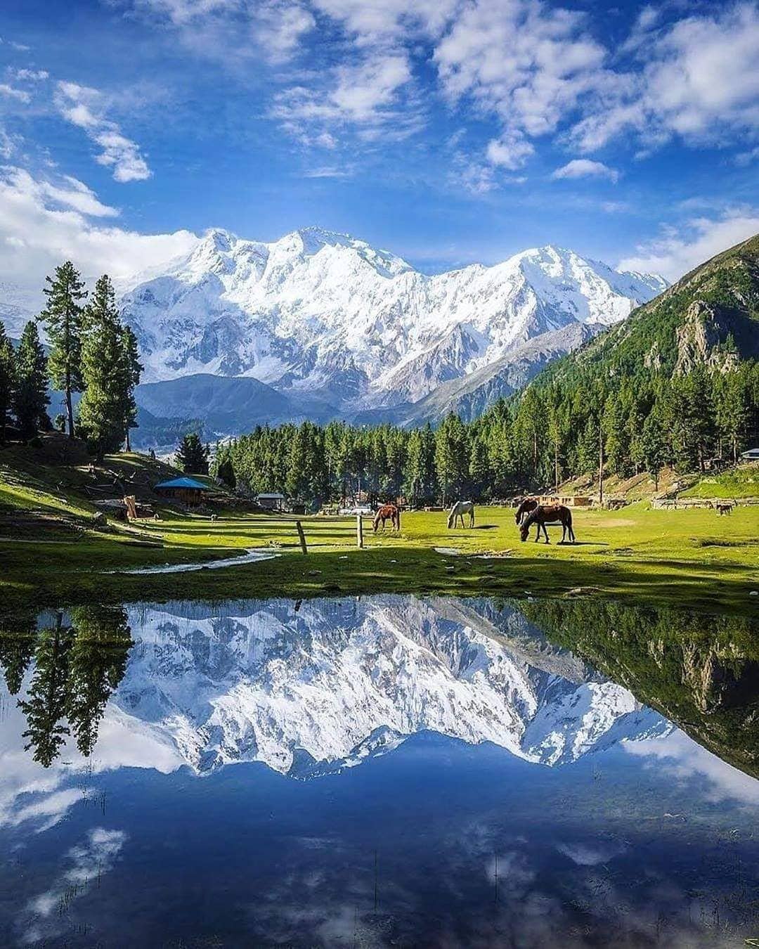 Fairy Meadows