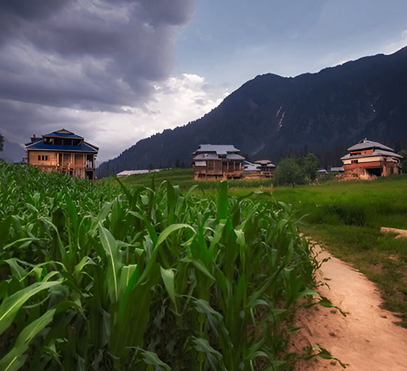 Kashmir, Arang Kel and Ratti Gali Lake - Families Only
