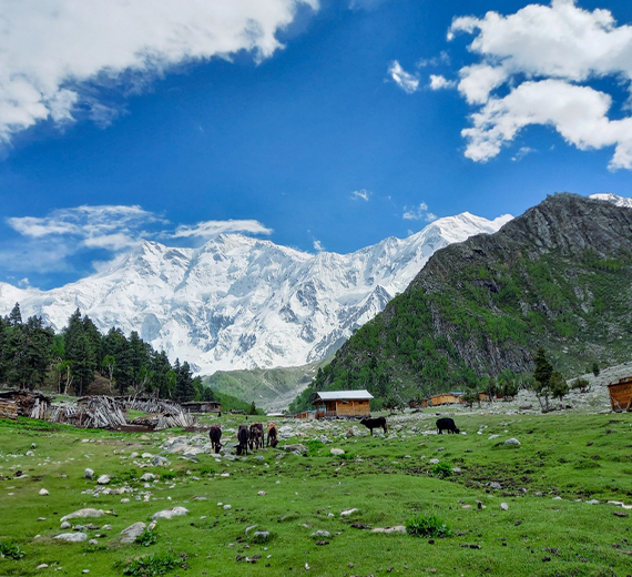 Fairy Meadows & Nanga Parbat View Point - Families Only