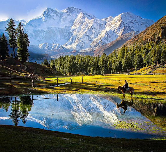 Fairy Meadows & Nanga Parbat View Point - Families Only